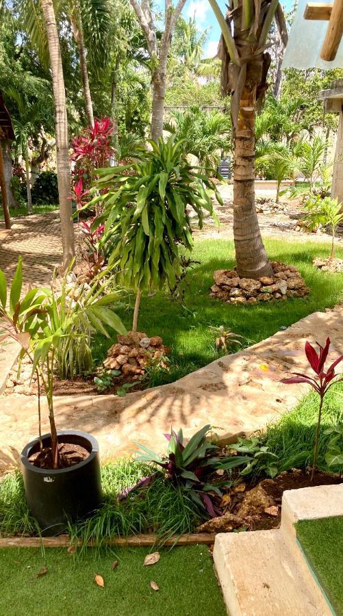 Green Paradise Leona Vicario Dış mekan fotoğraf