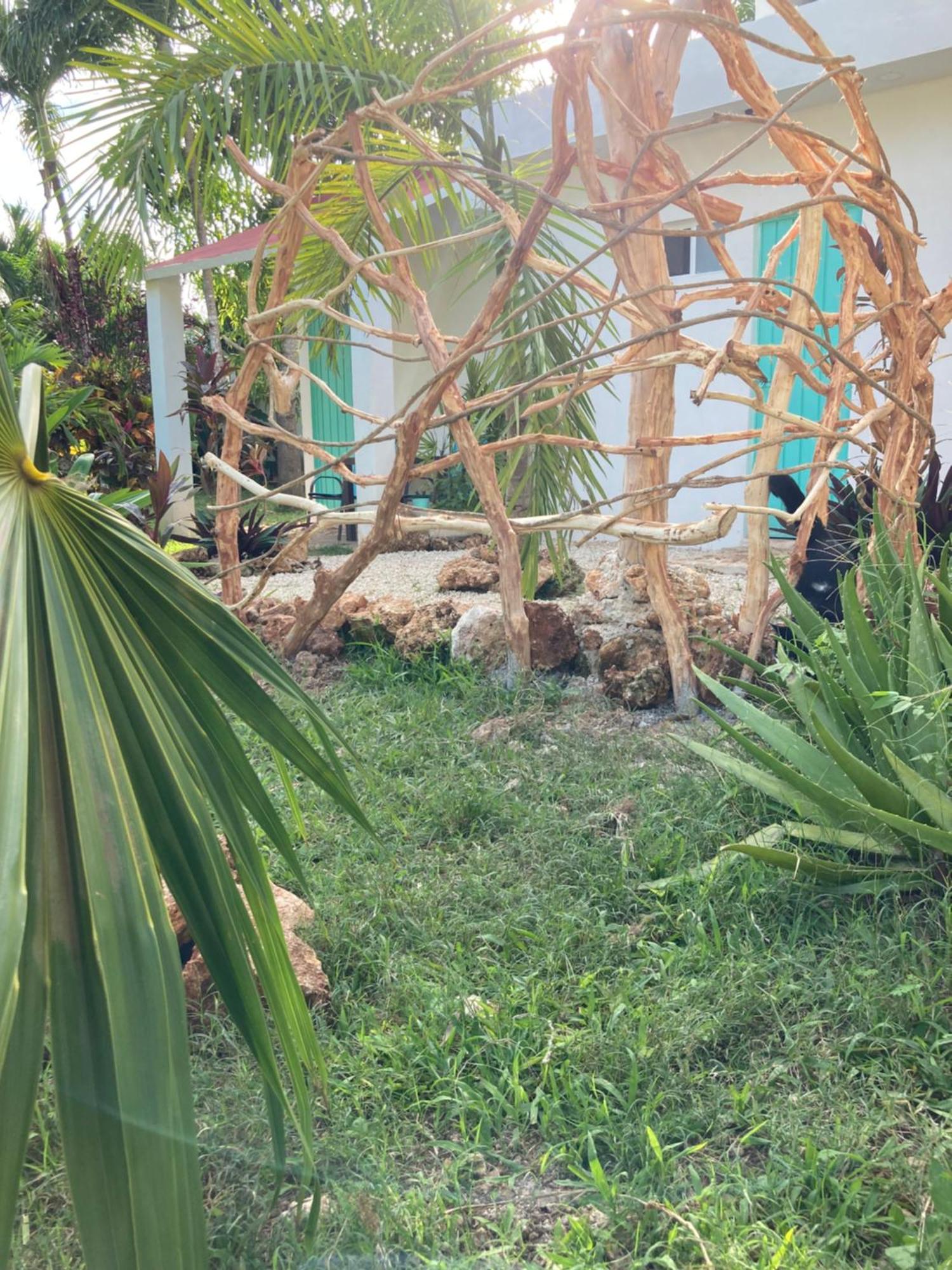 Green Paradise Leona Vicario Dış mekan fotoğraf