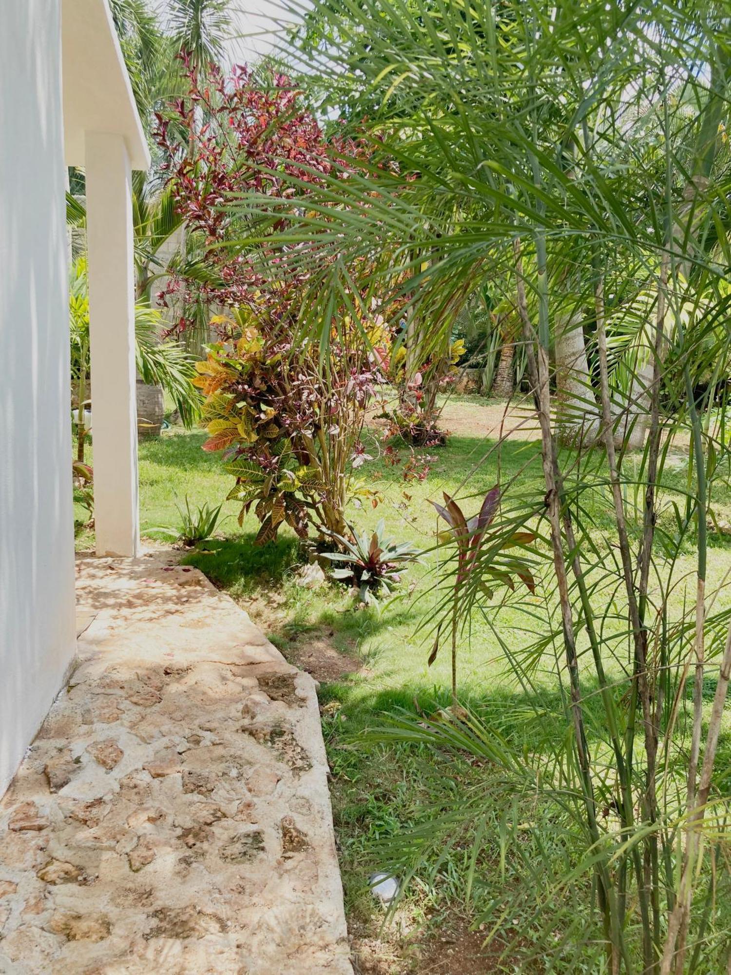 Green Paradise Leona Vicario Dış mekan fotoğraf