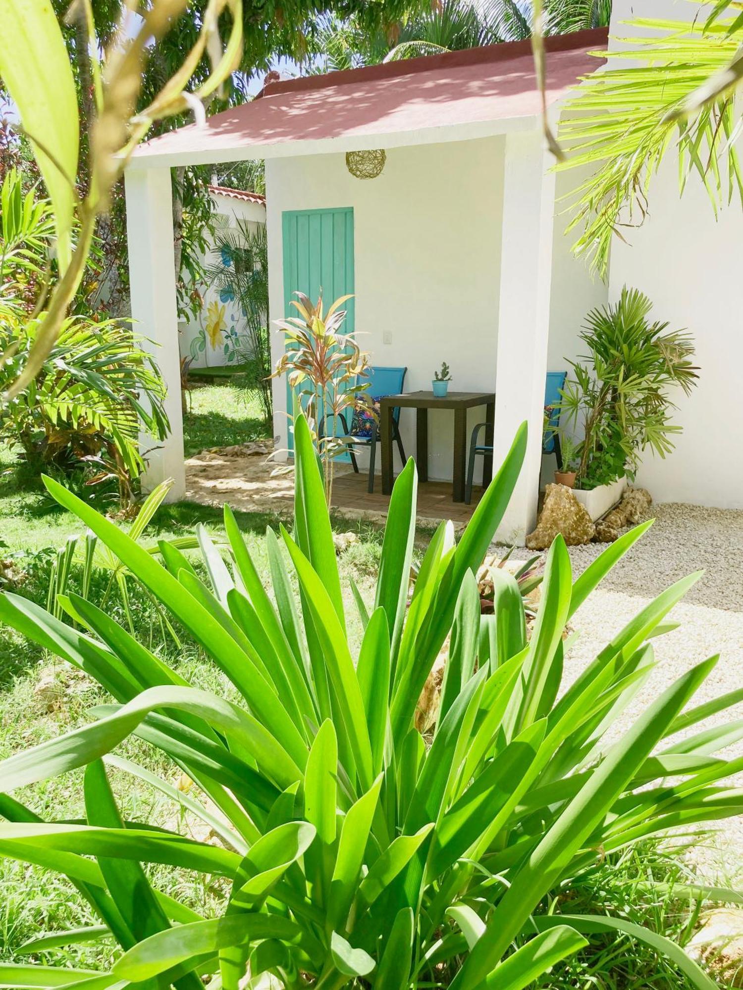 Green Paradise Leona Vicario Dış mekan fotoğraf