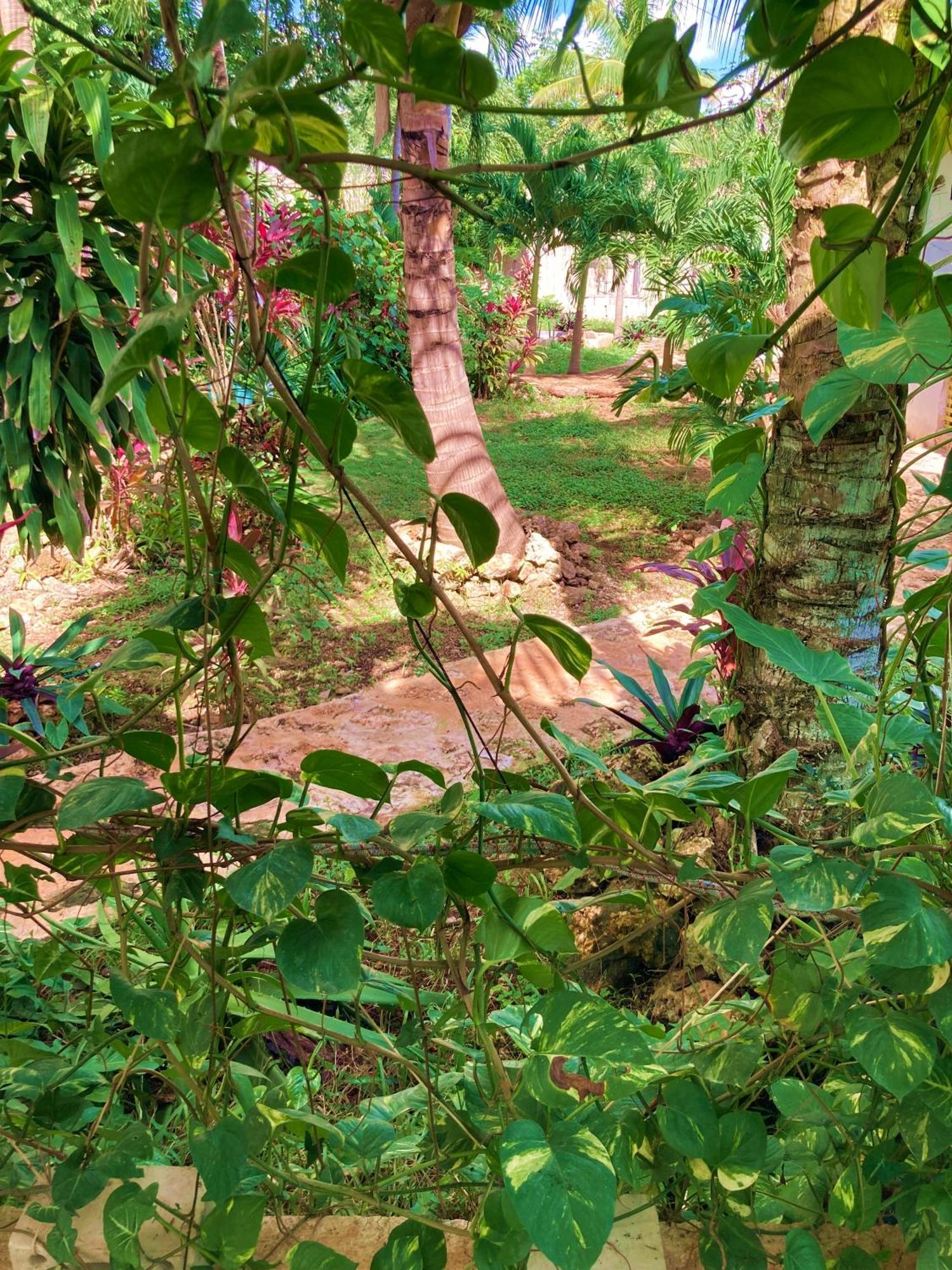 Green Paradise Leona Vicario Dış mekan fotoğraf