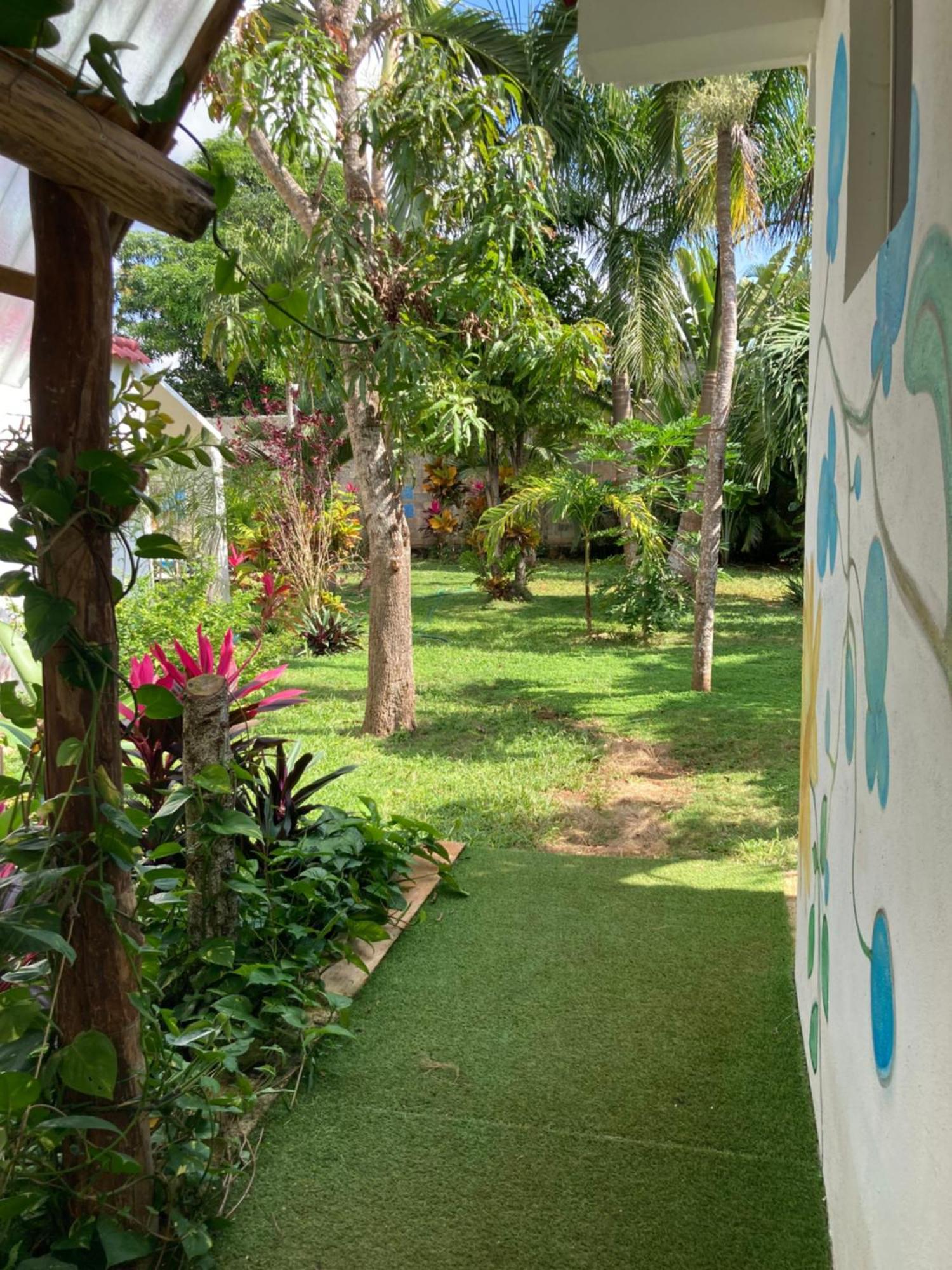 Green Paradise Leona Vicario Dış mekan fotoğraf