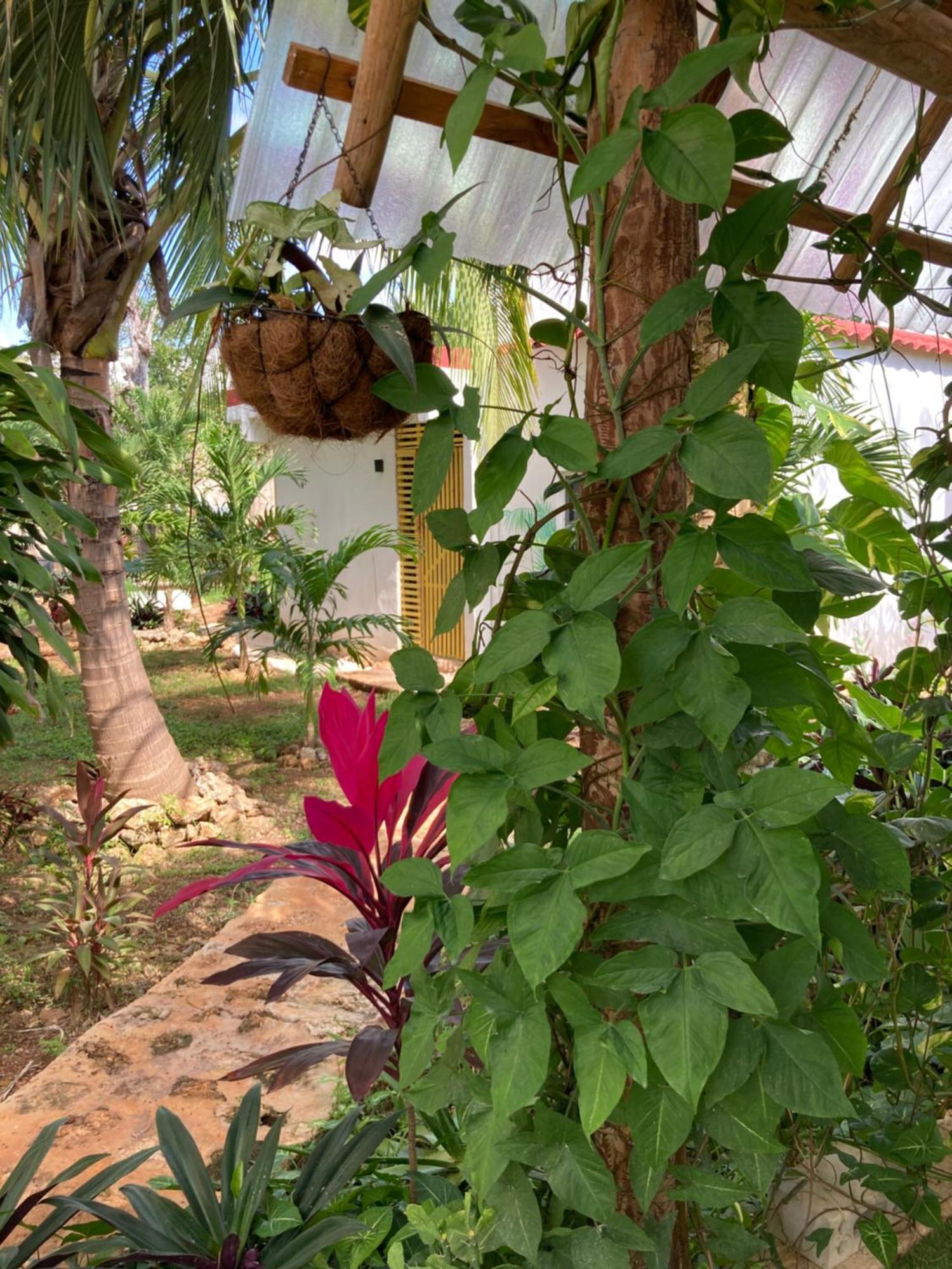 Green Paradise Leona Vicario Dış mekan fotoğraf