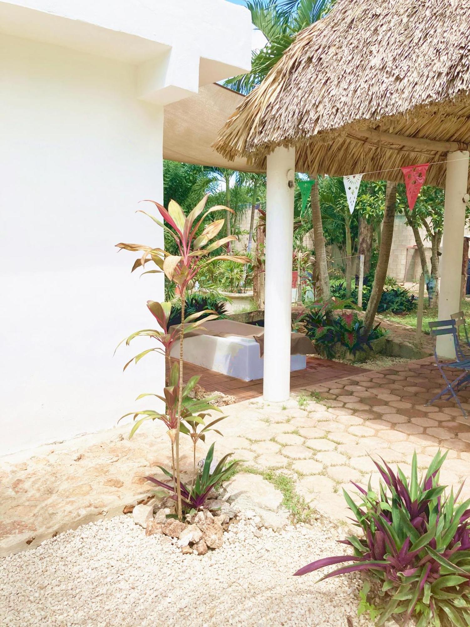 Green Paradise Leona Vicario Dış mekan fotoğraf