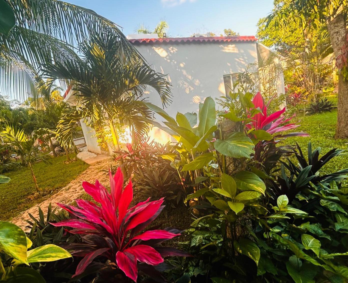 Green Paradise Leona Vicario Dış mekan fotoğraf