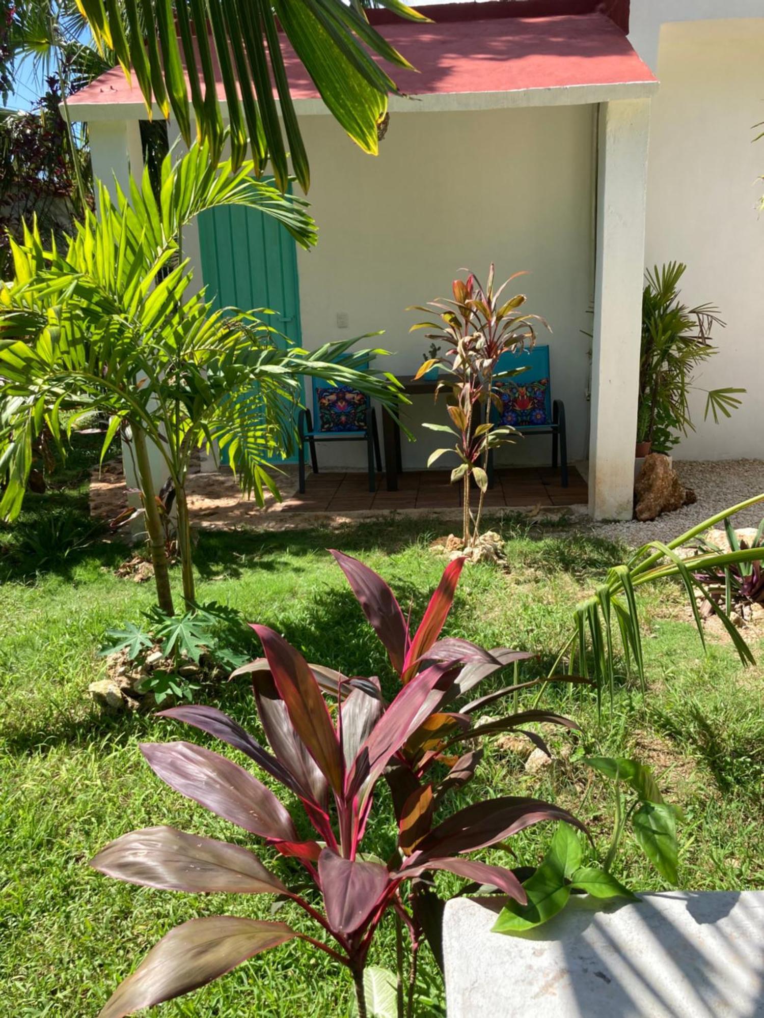 Green Paradise Leona Vicario Dış mekan fotoğraf