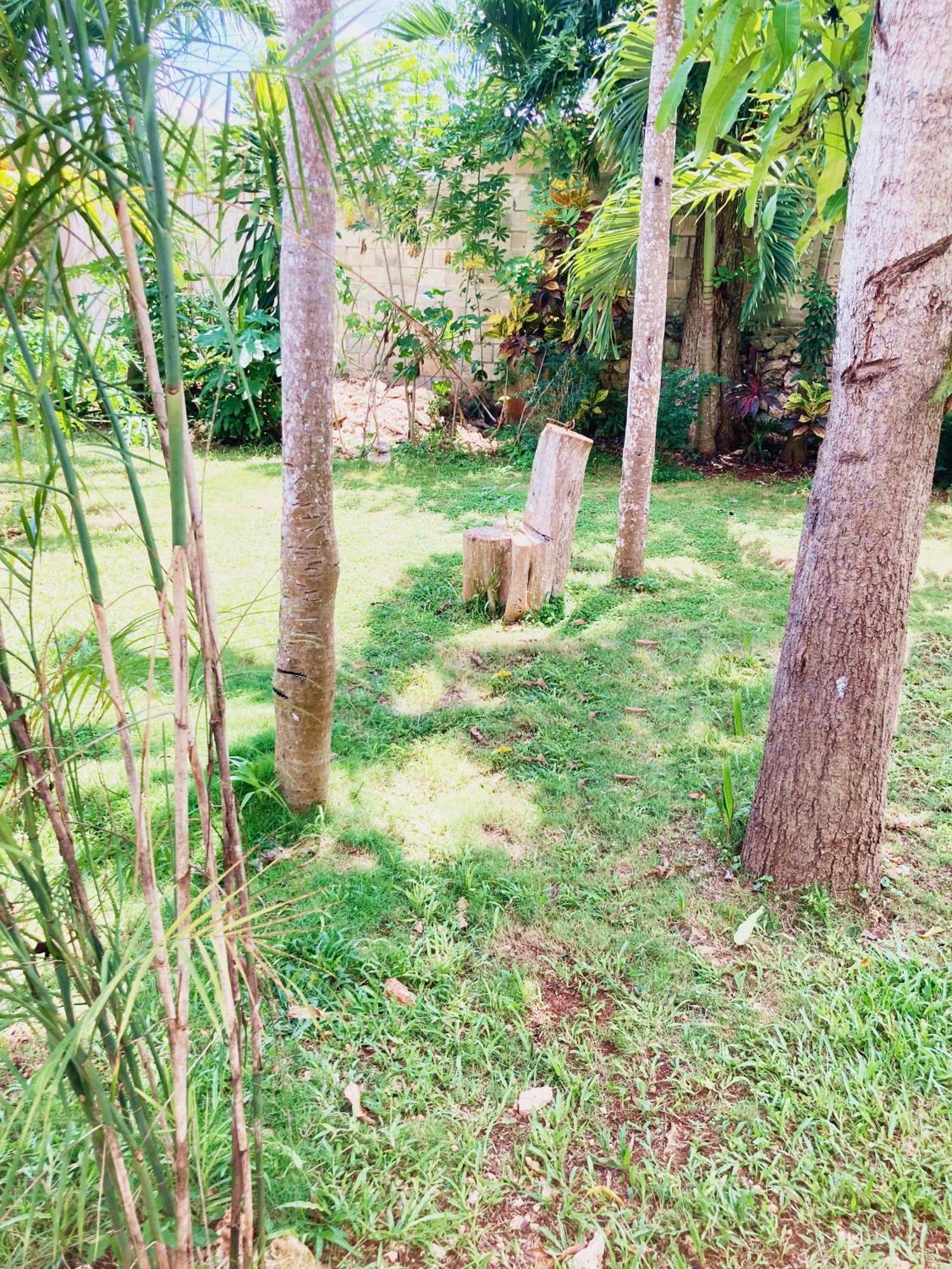 Green Paradise Leona Vicario Dış mekan fotoğraf